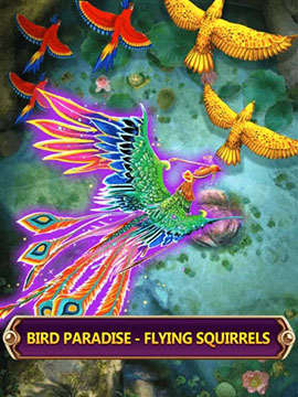 BIRD PARADISE FLYING SQUIRRELS