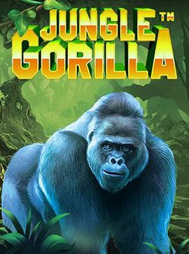 jungle gorilla